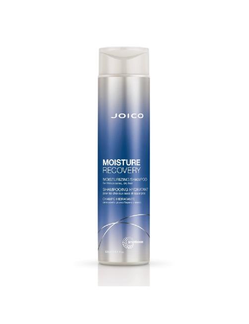 Joico Moisture Recovery Shampoo 300Ml