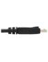 Eaton Tripp Lite Series DisplayPort Cable with Latching Connectors, 4K 60 Hz (M/M), Black, 10 ft. (3.05 m) - Cable DisplayPort -