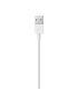 LIGHTNING TO USB CABLE (1 M)-AME - Imagen 3