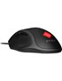 OMEN VECTOR MOUSE CAN/ENG